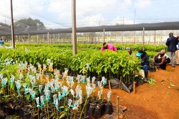 University Council M