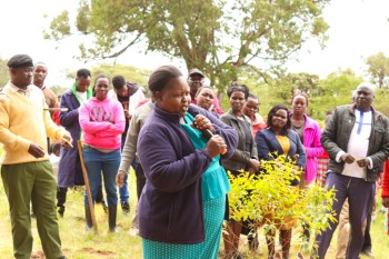 The 2nd Edition of t