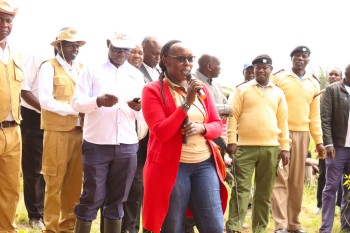 The 2nd Edition of t