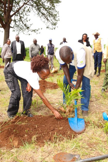 The 2nd Edition of t