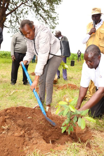 The 2nd Edition of t