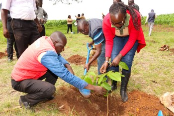 The 2nd Edition of t