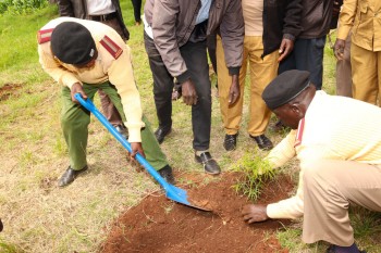 The 2nd Edition of t