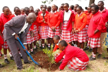 The 2nd Edition of t