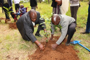 The 2nd Edition of t