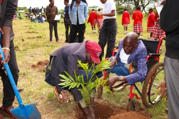 The 2nd Edition of t